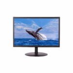 64afaf0f053ef 64afaf0f0c5f0.jpg